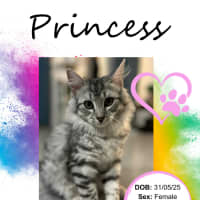 Photo of Princess