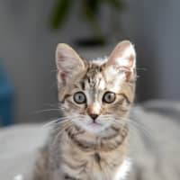 Photo of Ursula