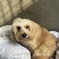 Photo of Wanda