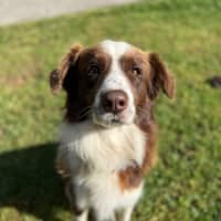 Photo of Waffles