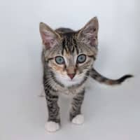 Photo of Cindy