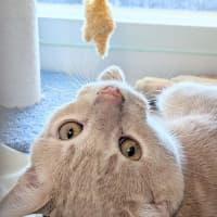 Photo of Riddle
