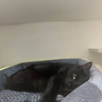 Photo of Count Scratchula