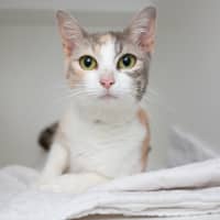Photo of Gia