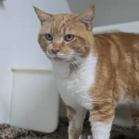 Photo of 🍝 Maccaroni 6402 🍝