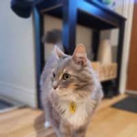 Photo of Klaus