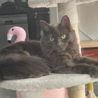 Photo of Hazel