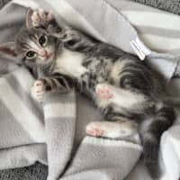 Photo of Wanaka 🌷🌷🌷