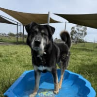 Photo of Zeus 