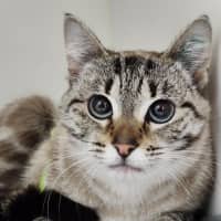 Photo of 💜 Indigo 6698 💜