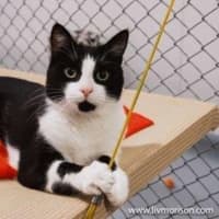 Photo of Jasper Picton