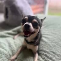 Photo of Pablo