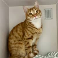 Photo of Philbert