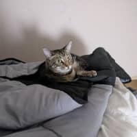 Photo of Spark