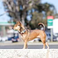 Photo of Milly Milly