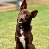 Photo of Max Brenner 🍫 