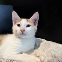 Photo of Bernard