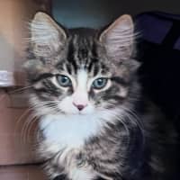 Photo of Jasper