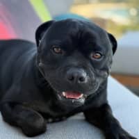Photo of Reggie
