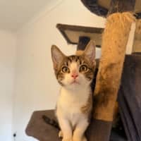 Photo of Albus