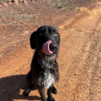 Photo of Roxy Peggotty