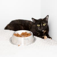 Photo of Ms. Finster