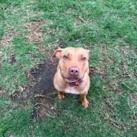 Photo of Sweetie