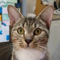 Photo of Sally
