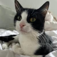 Photo of Amora