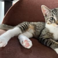 Photo of Molly