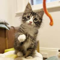 Photo of Maya And Lotti