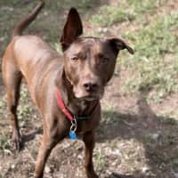 Photo of Apollo