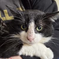 Photo of Bruce Wayne