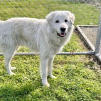 Photo of Wilbur