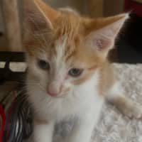 Photo of Charlie