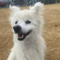 Photo of Coco