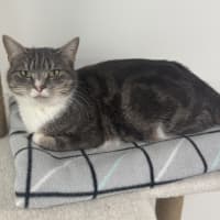 Photo of Tuki