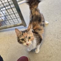 Photo of Maree! 🎀