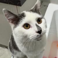 Photo of Victor