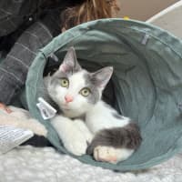 Photo of Oliver