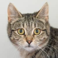 Photo of Gigi