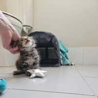 Photo of Rosa (Maisy)