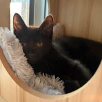 Photo of Taz