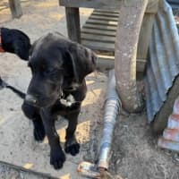 Photo of Barnaby