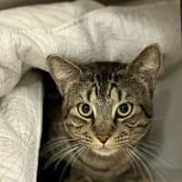 Photo of Gary The Snail