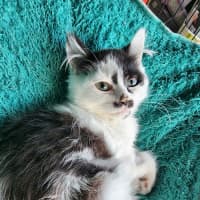 Photo of Matilda 