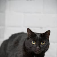 Photo of Betty
