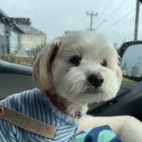 Photo of Miki