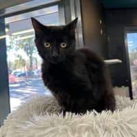 Photo of Loveheart Pasta