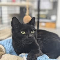 Photo of 🌮 Frankie 6184 🌮